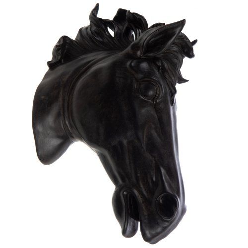 cabeza caballo